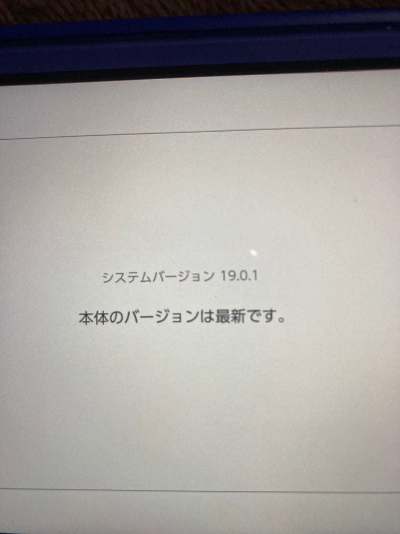 ヒ*)様 Nintendo Switch Lite 青色 本体