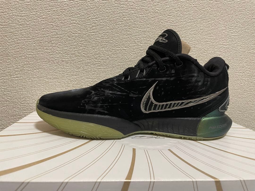 Nike レブロン 21 EP FB2236-001 タイタン