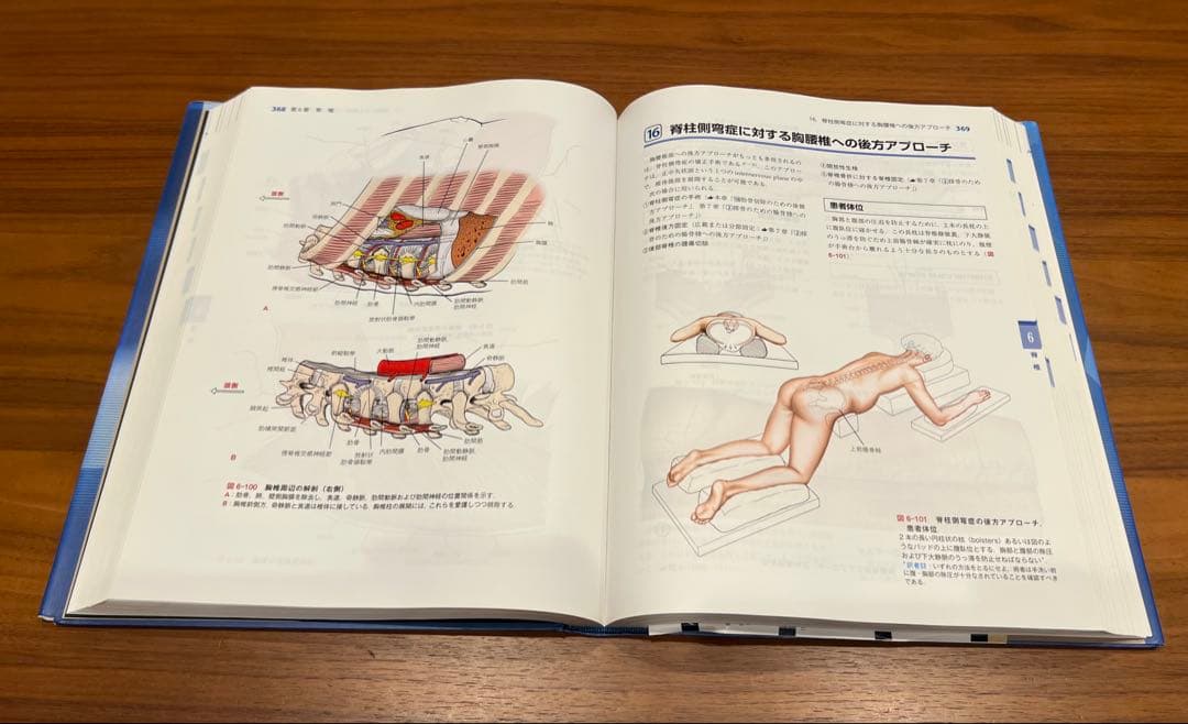 【未裁断】AO法 骨折治療 第3版　英語版Web付録付