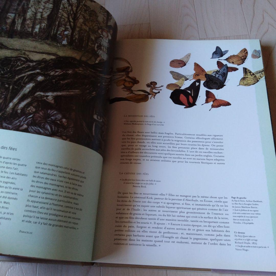 アート 画集 DEMONS＆MERVEILLES