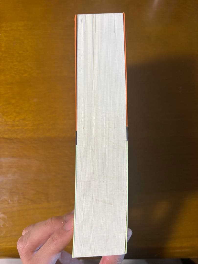 電験第1種模範解答集 平成17年版