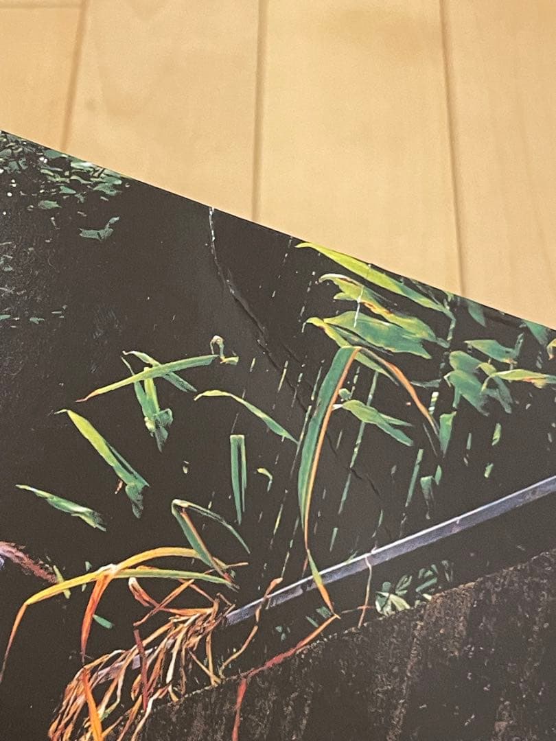 ズットズレテルズ / 第一集 2枚組 アナログ盤　レコード