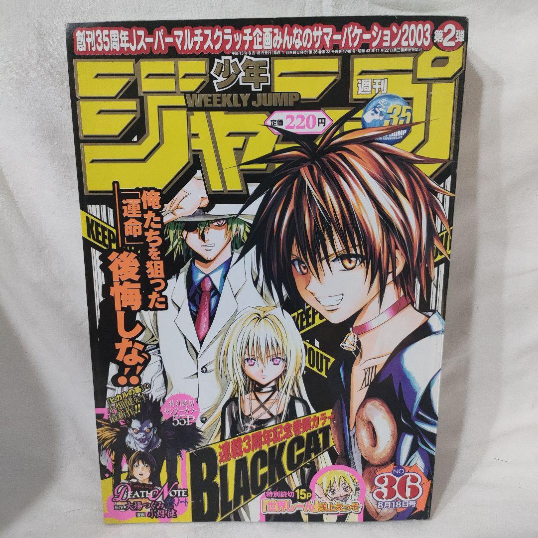 週刊少年ジャンプ DEATH NOTE デスノート 大場つぐみ 小畑健 特別読切