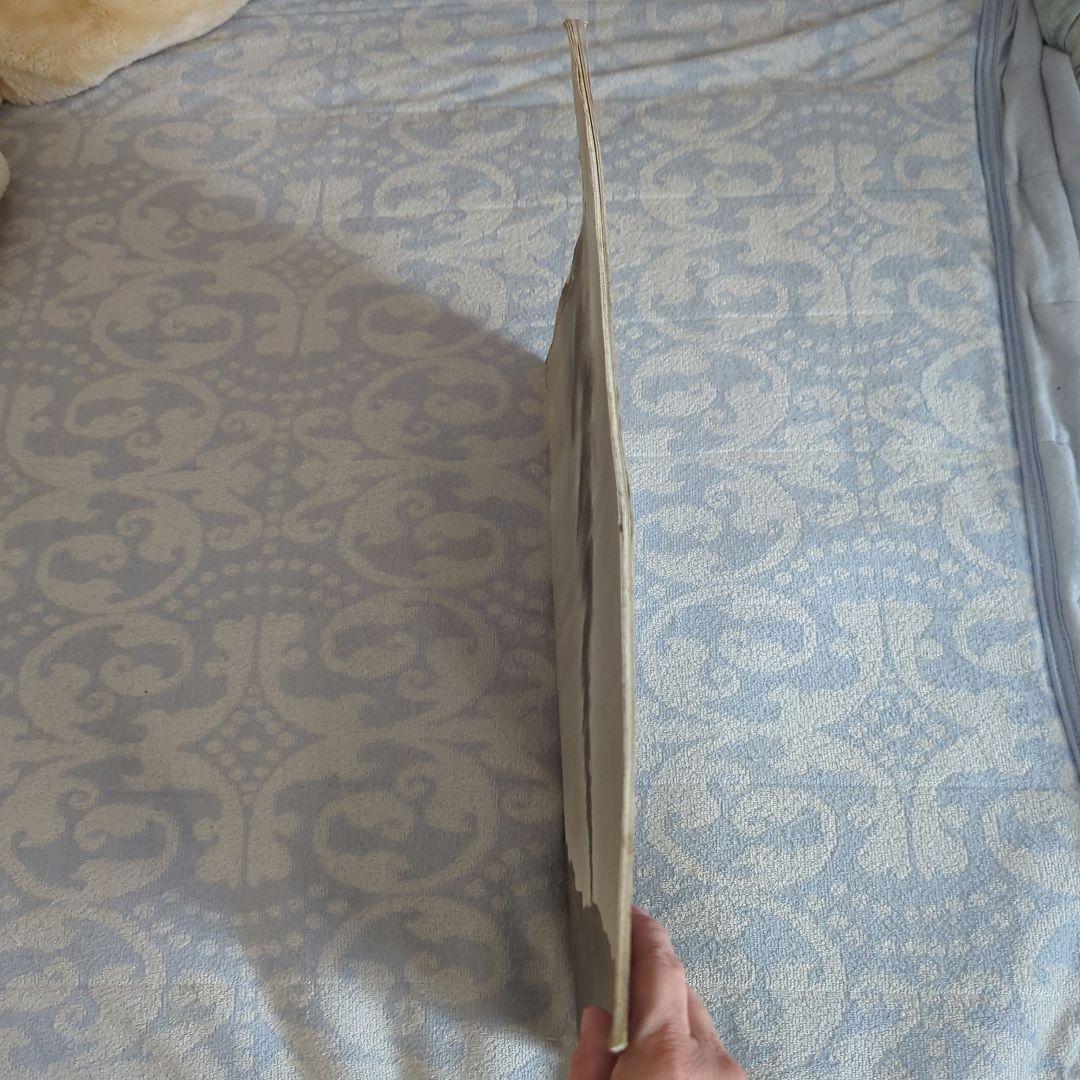 yo-yo19891229TOKYODOMEBUCK-TICKパンフレット