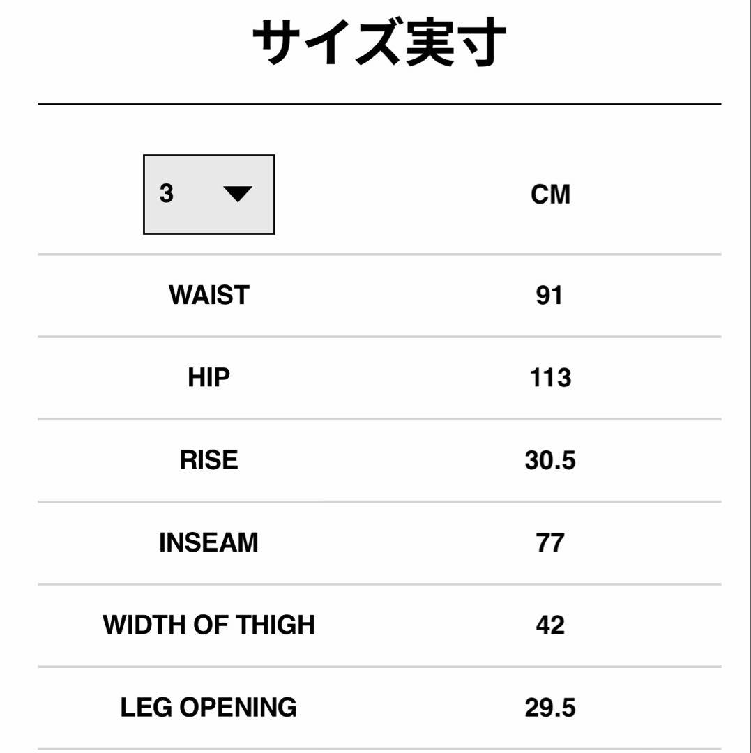 パンツ sacai Carhartt WIP Duck Pants BLUE 3