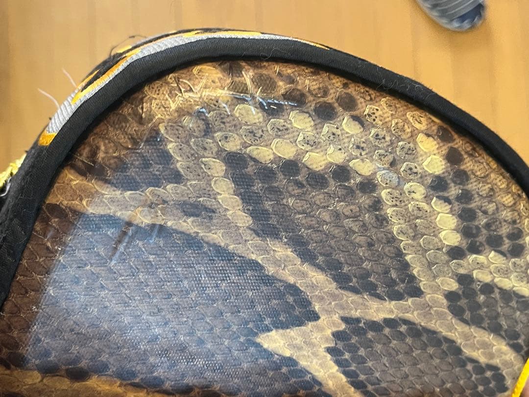 沖縄三線　人工皮　初心者セット