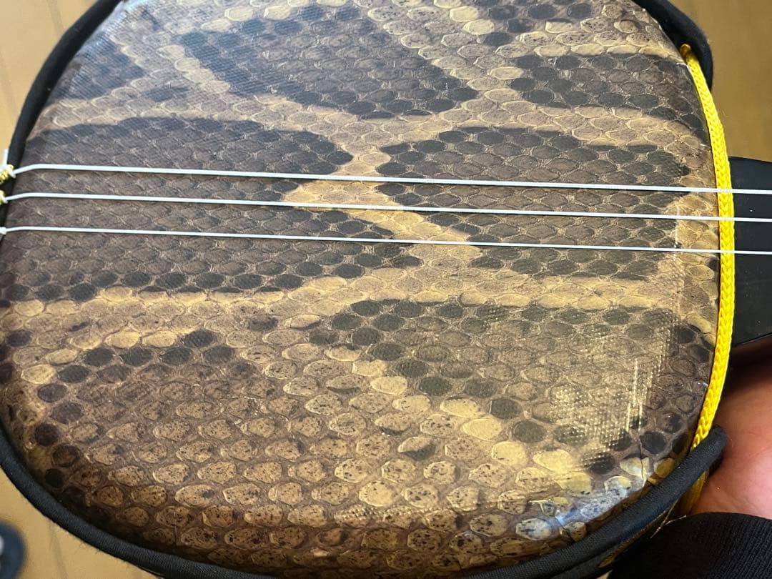 沖縄三線　人工皮　初心者セット