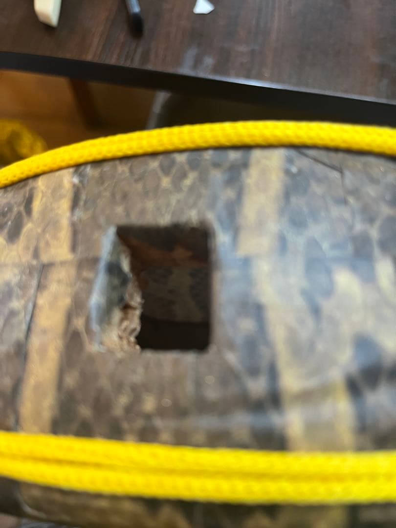 沖縄三線　人工皮　初心者セット