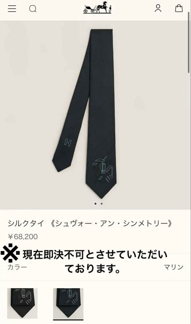 エルメス シルクタイ＜シュヴォー・アン・シンメトリー>