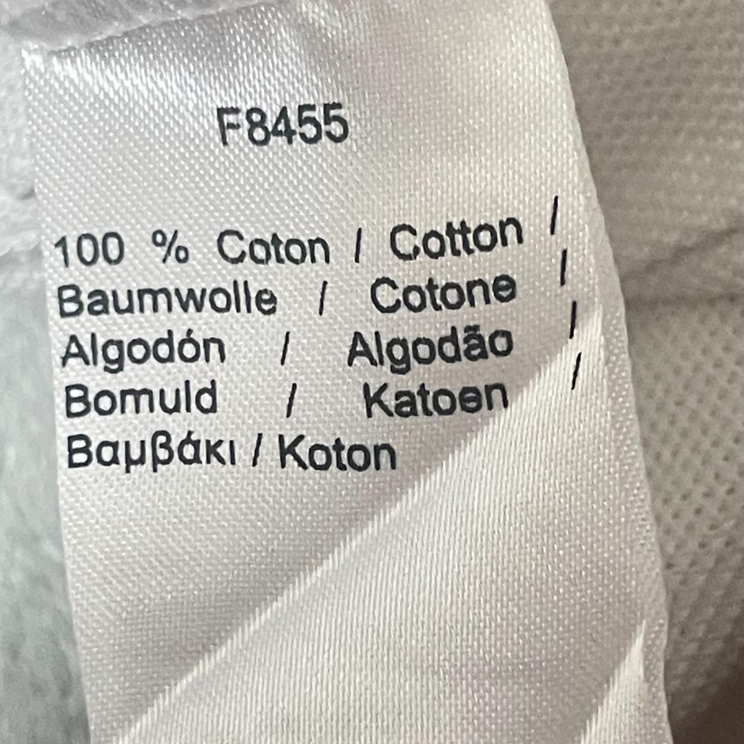 チョコミント　80周年 ラコステ LACOSTE ピーターサヴィル