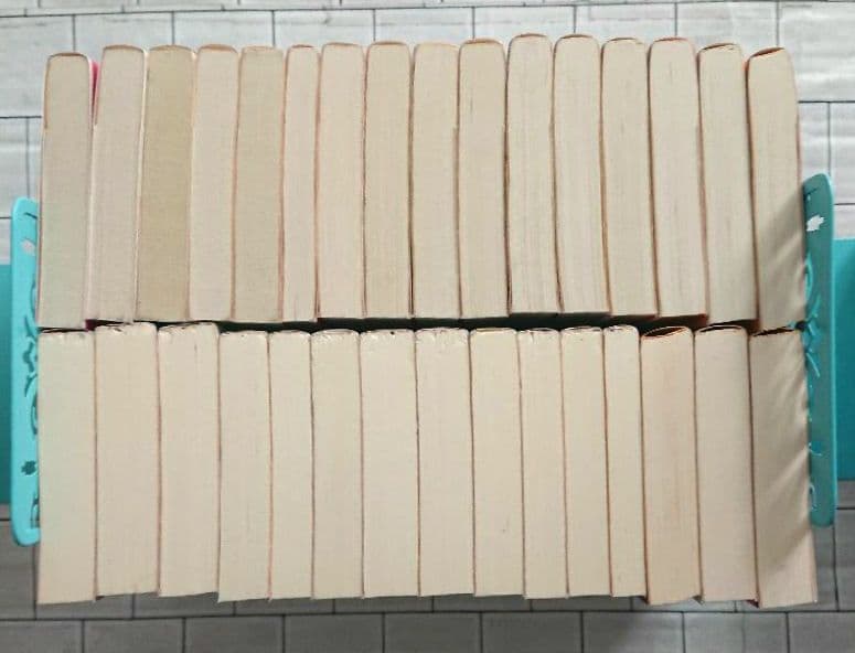 堂場瞬一 警察小説 31冊 アナザーフェイス ラストライン 鳴沢了 他