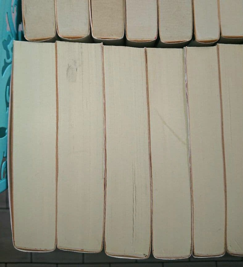 堂場瞬一 警察小説 31冊 アナザーフェイス ラストライン 鳴沢了 他