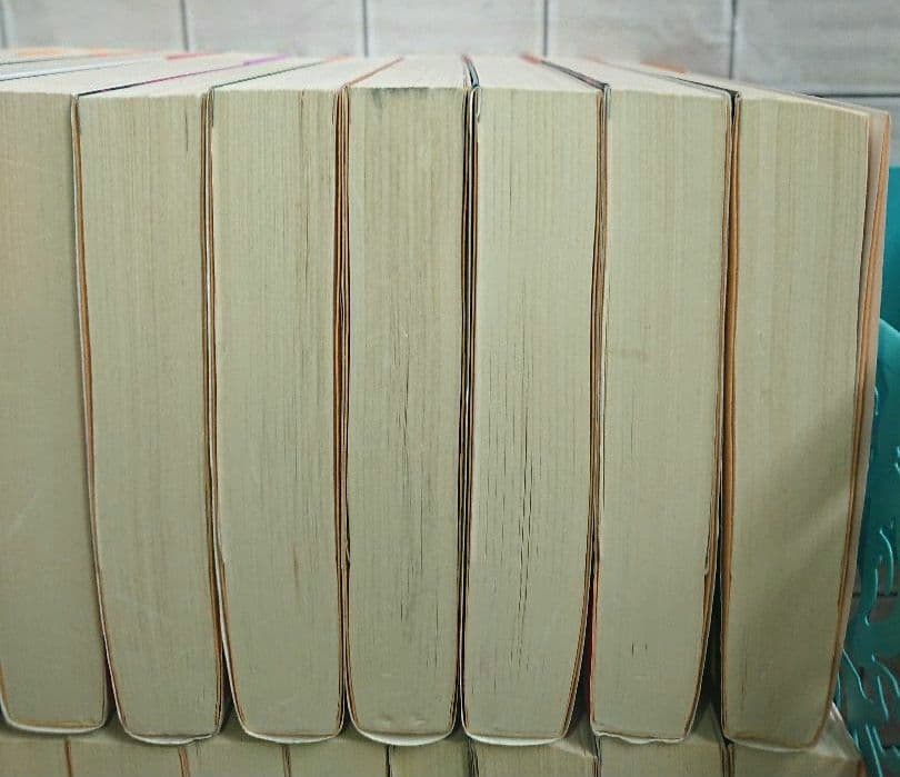 堂場瞬一 警察小説 31冊 アナザーフェイス ラストライン 鳴沢了 他