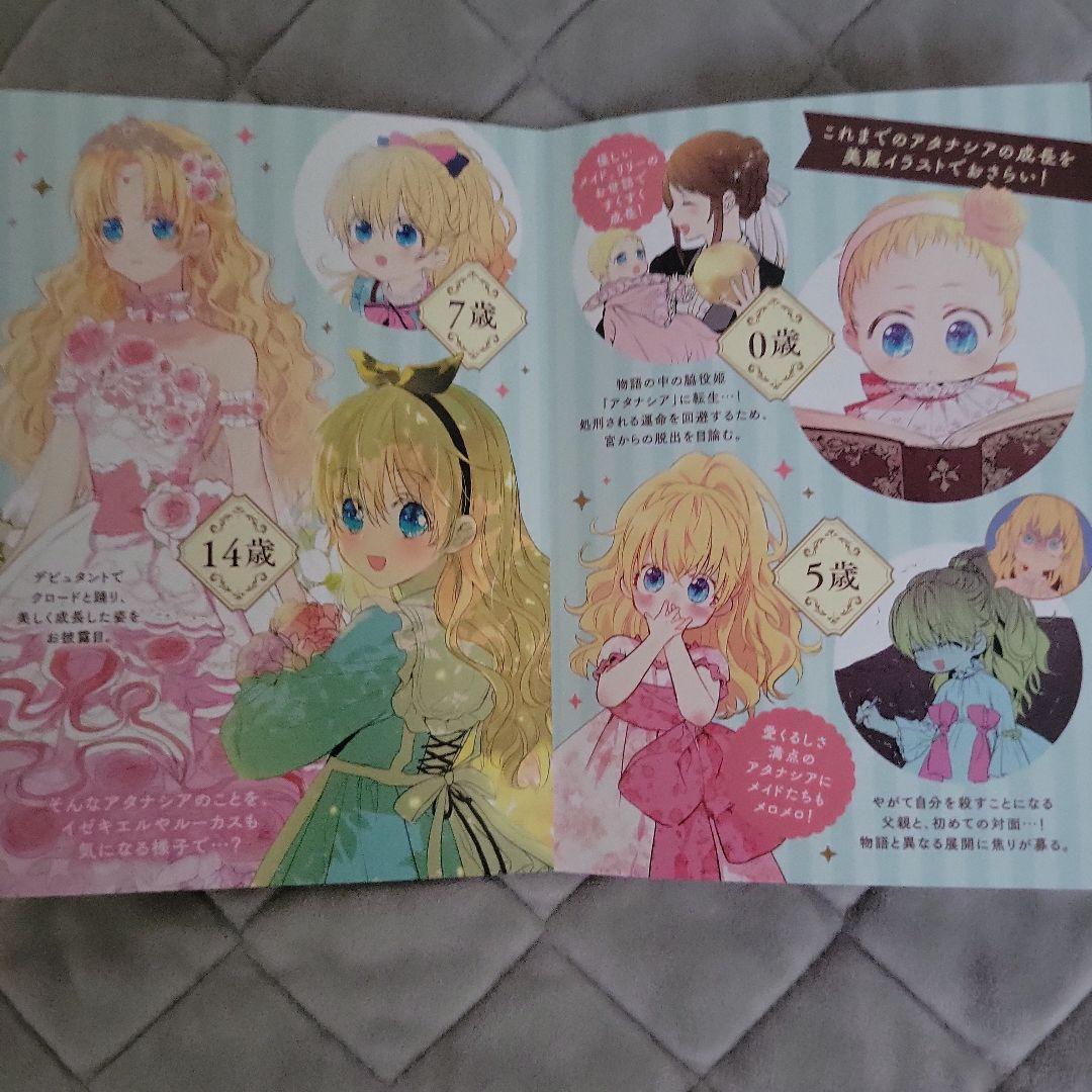 ある日お姫様になってしまった件について 1～9巻