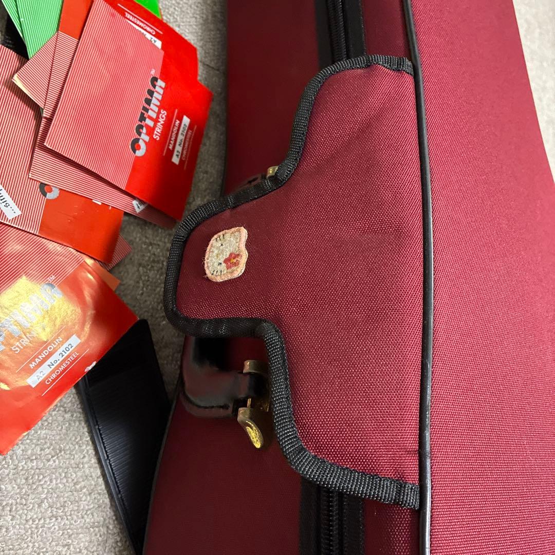 Raffaele Calace & Figlio マンドリン ケース付