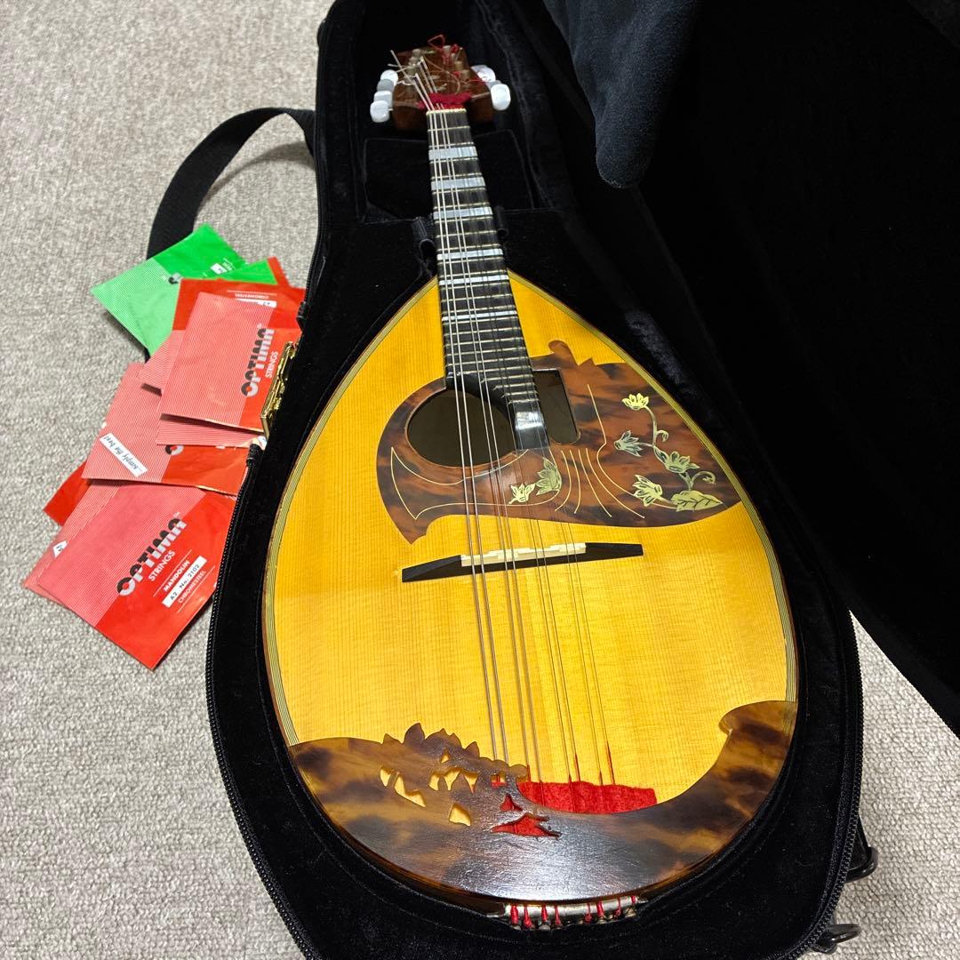 Raffaele Calace & Figlio マンドリン ケース付