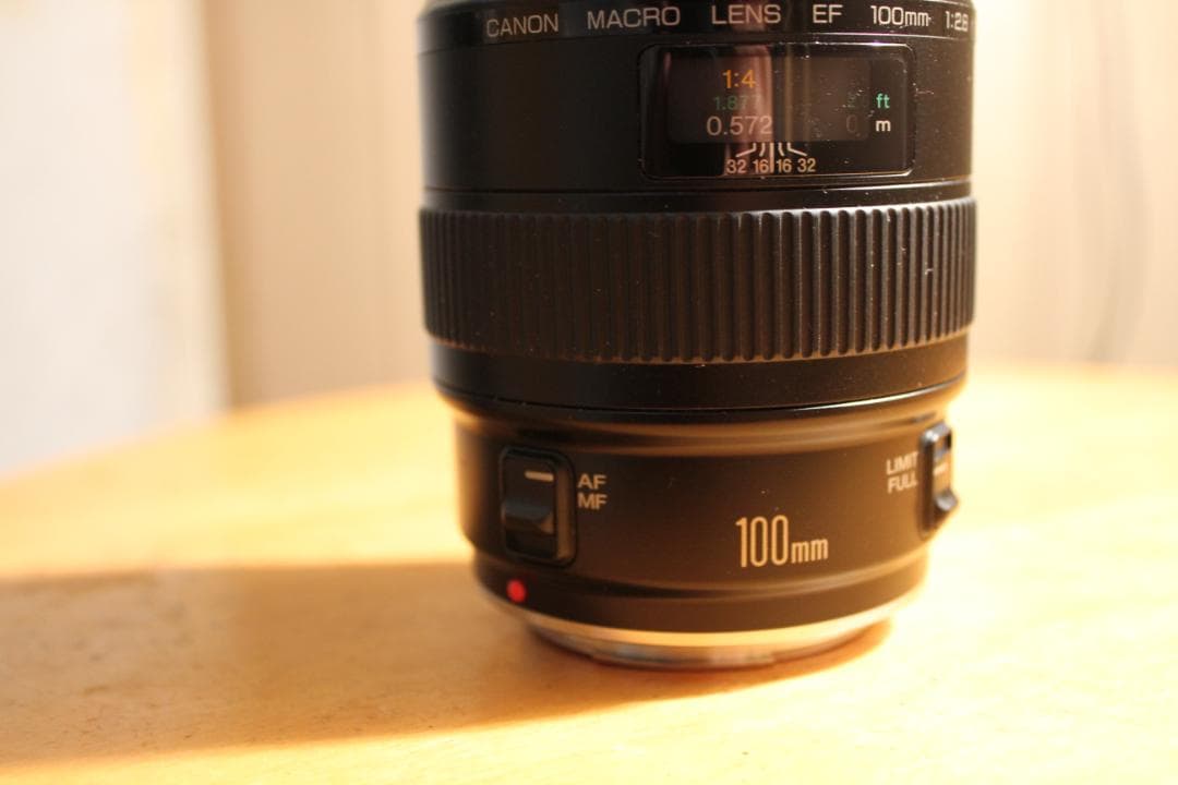 Canon EF 100mm f/2.8 (Non-USM) 　マクロレンズ