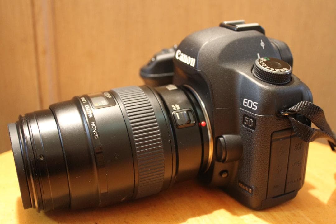 Canon EF 100mm f/2.8 (Non-USM) 　マクロレンズ