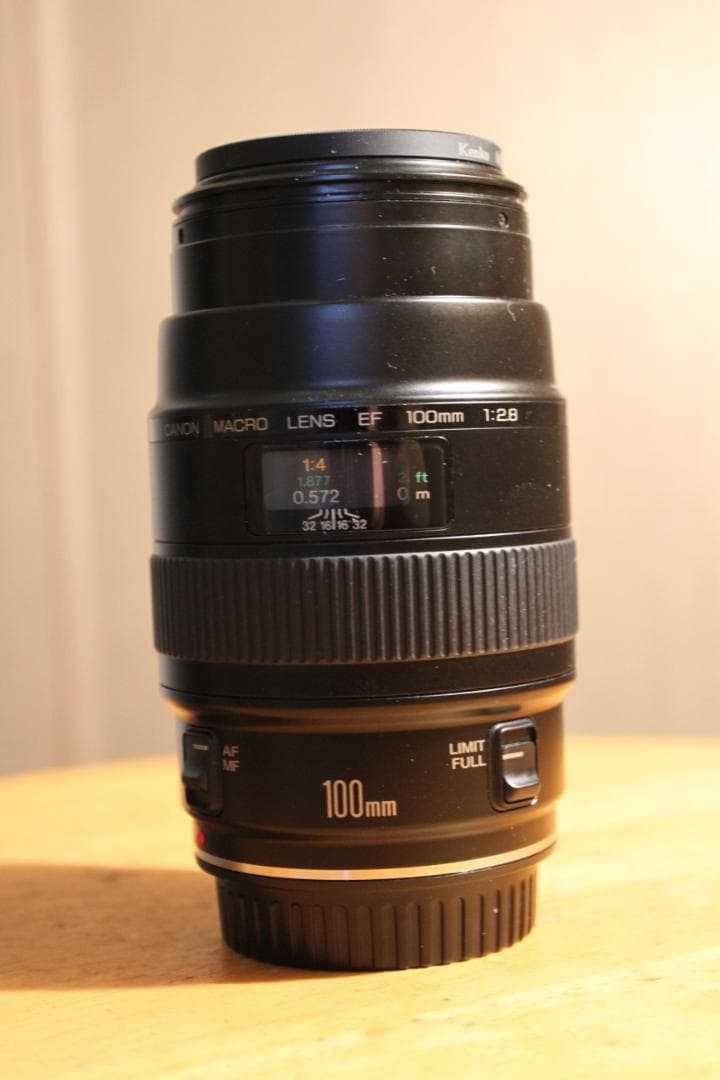 Canon EF 100mm f/2.8 (Non-USM) 　マクロレンズ