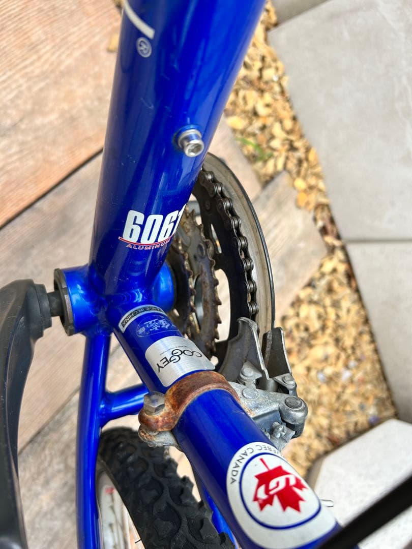 マウンテンバイク 青 サスペンションフォーク