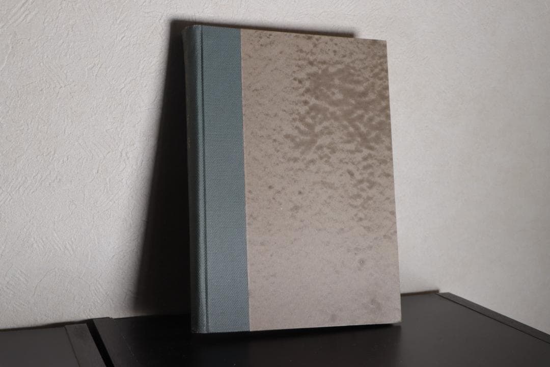 思考の方法　ジョン・デューイ　仮説検証