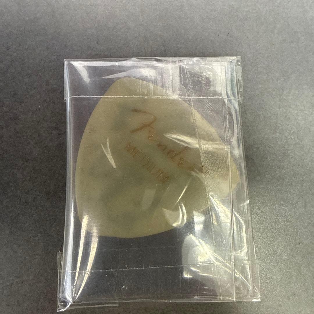 ELLEGARDEN Vo細美武士　サイン　ピック　エルレ