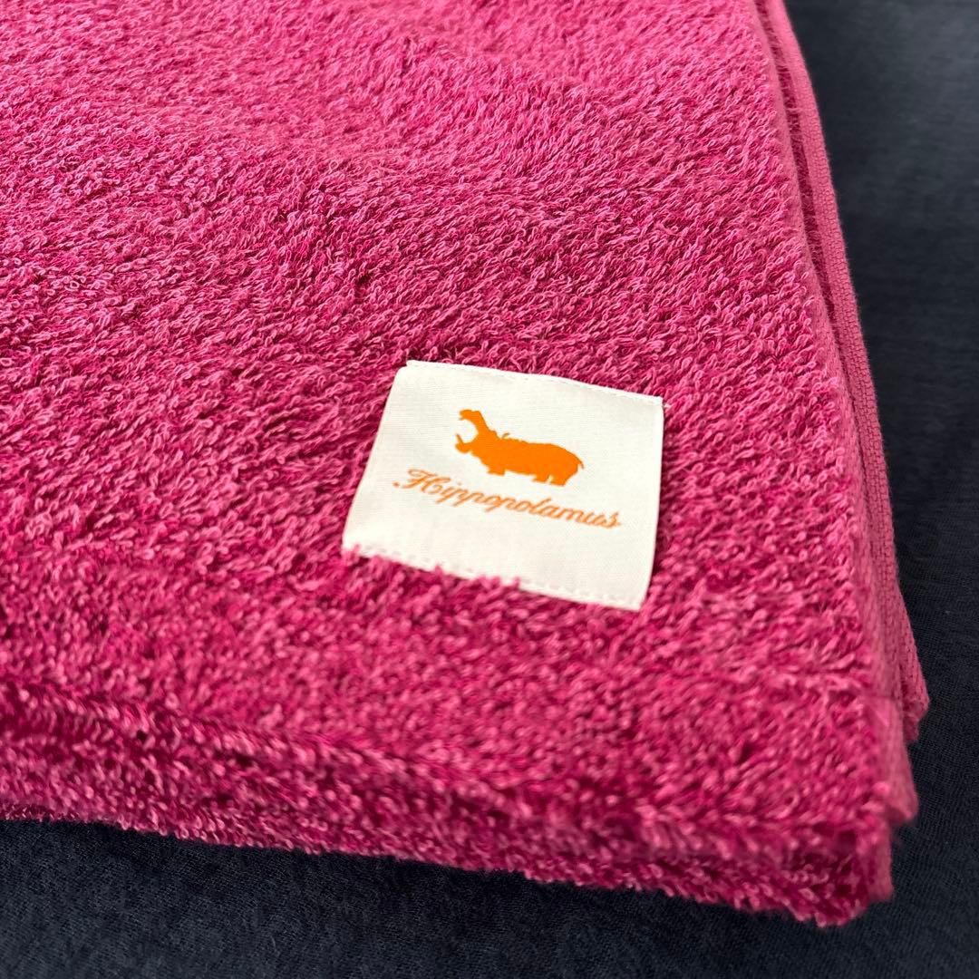 ［Aiko Watanabe］ hippopotamus タオルケ ット