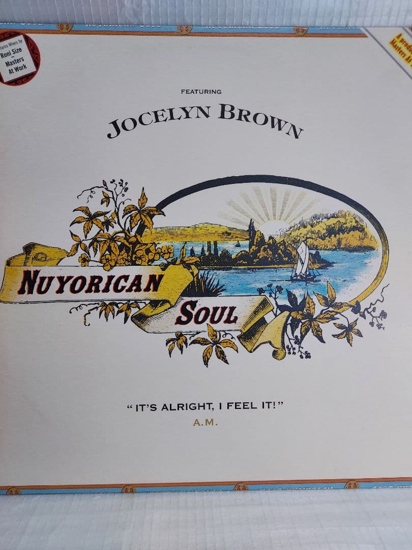 【希少名盤】 激レア！Nuyorican Soul / 12inch セット