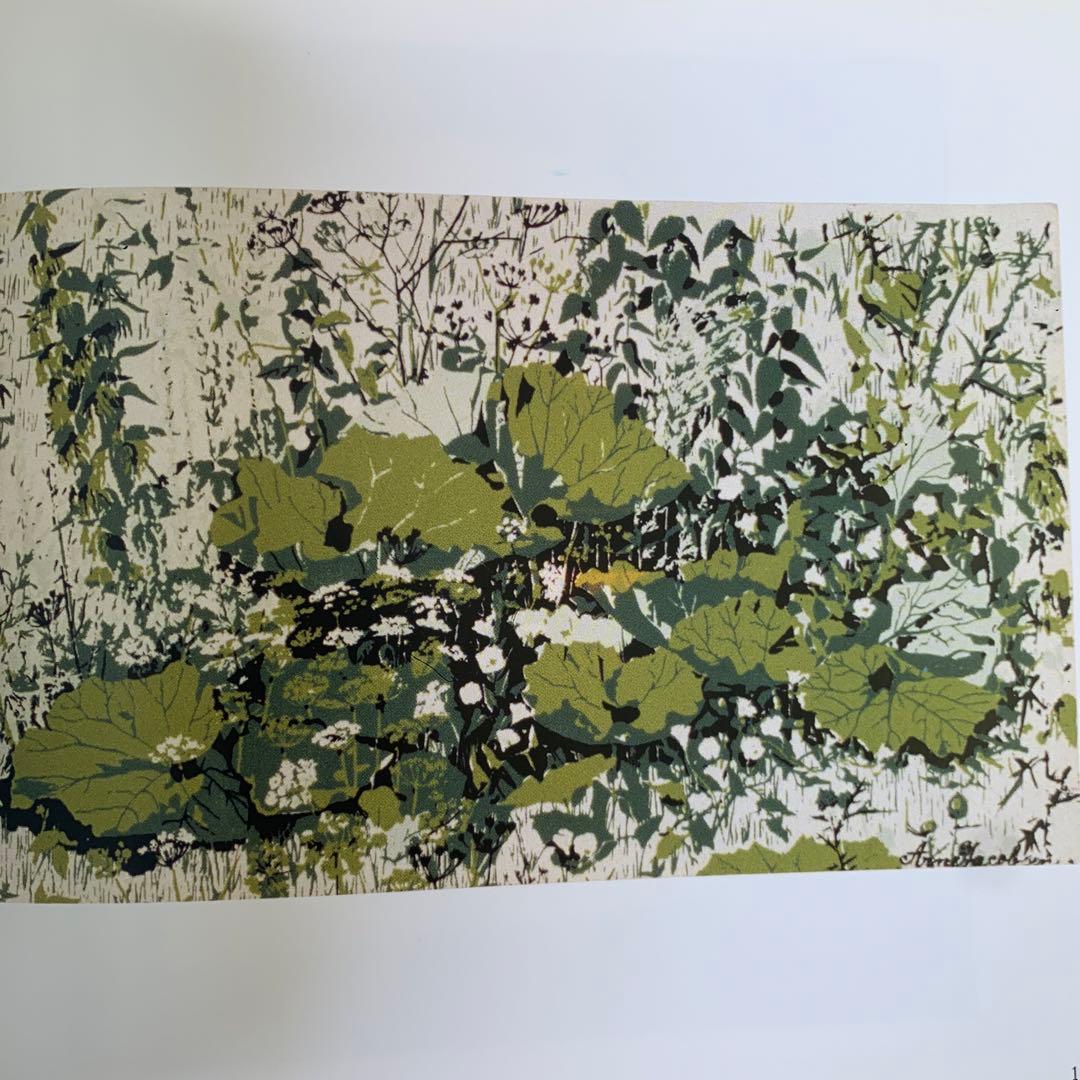 Arne Jacobsen アルネヤコブセン　drawings