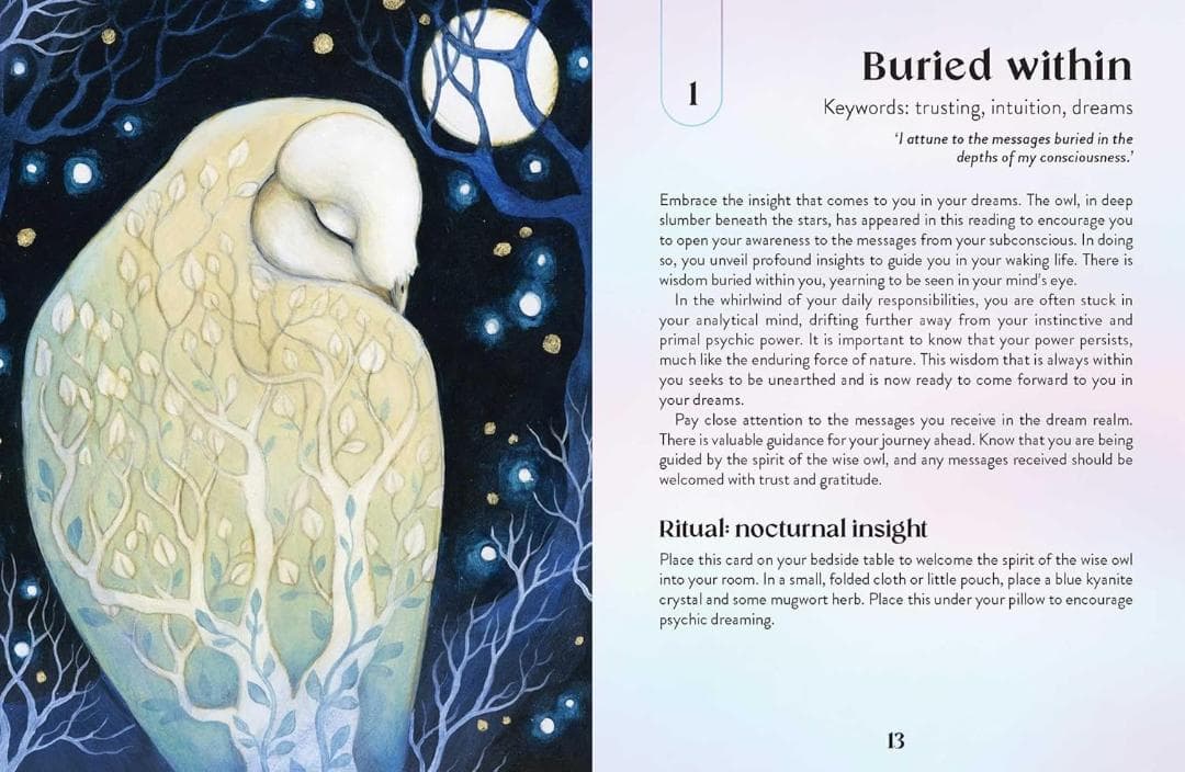 【正規品オラクルカード】新作✨神秘的な世界観✨魔法と古代の知恵のオラクル