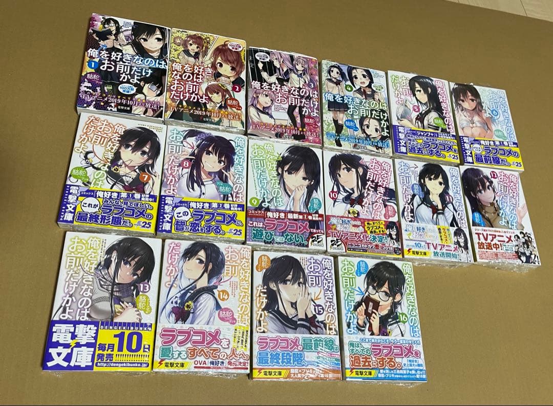 【新品・未開封】俺を好きなのはお前だけかよ 1～16巻セット ライトノベル