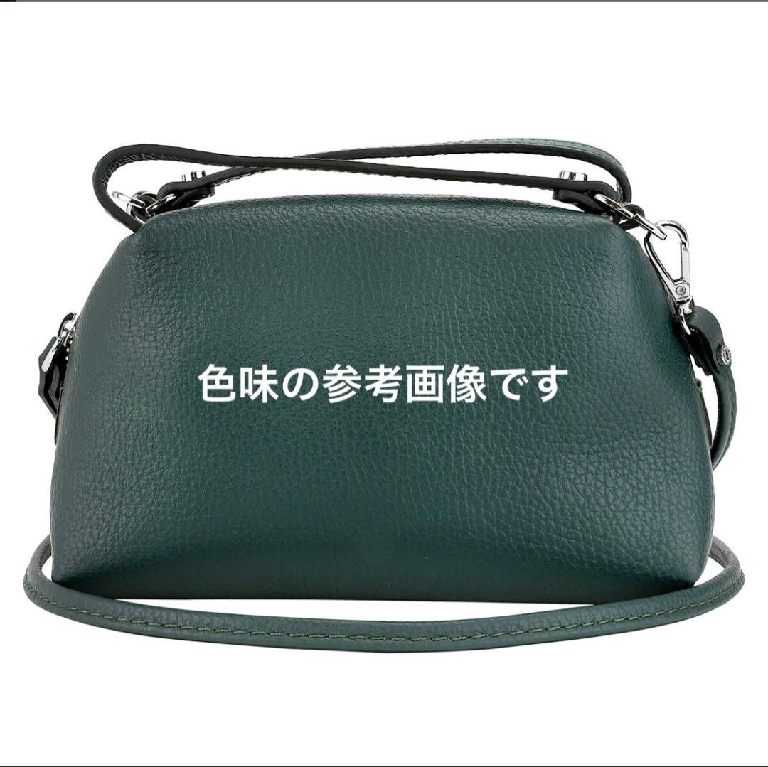 ジャンニキャリーニ アリファ S 2way バッグ 緑　dark green