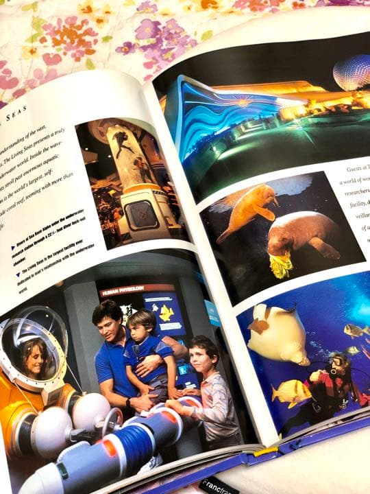洋書 ウォルトディズニー ワールドリゾート 25周年 写真集 本 アンティーク