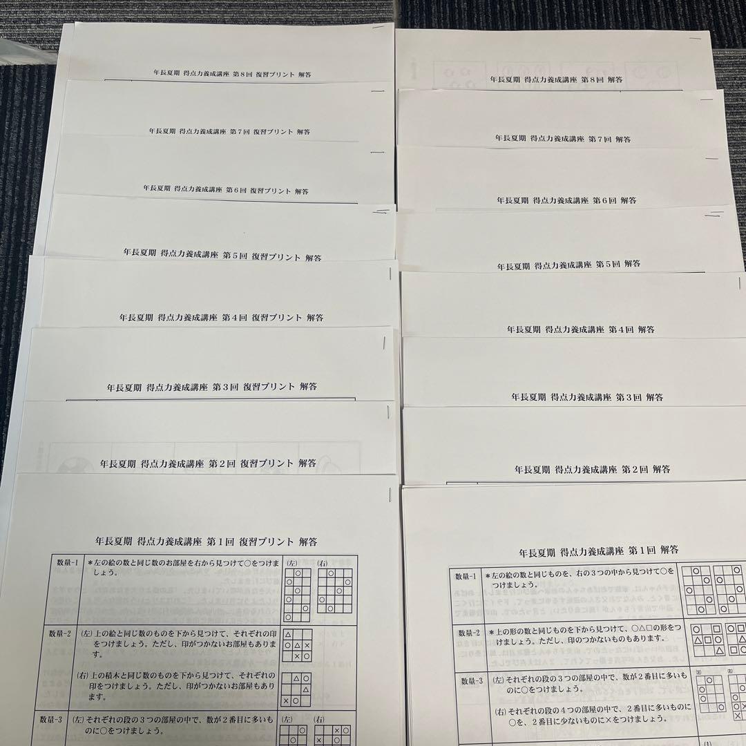 桐杏学園 夏季講習 得点力養成講座 全8回