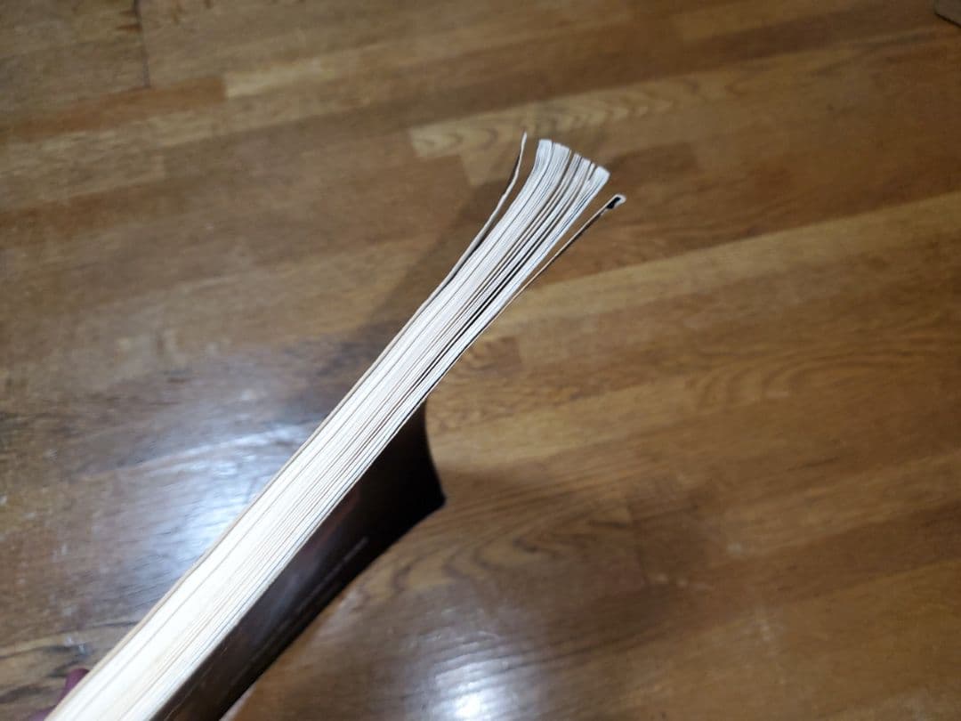 NIGHT RANGER Big Life ナイトレンジャー　ビッグ・ライフ