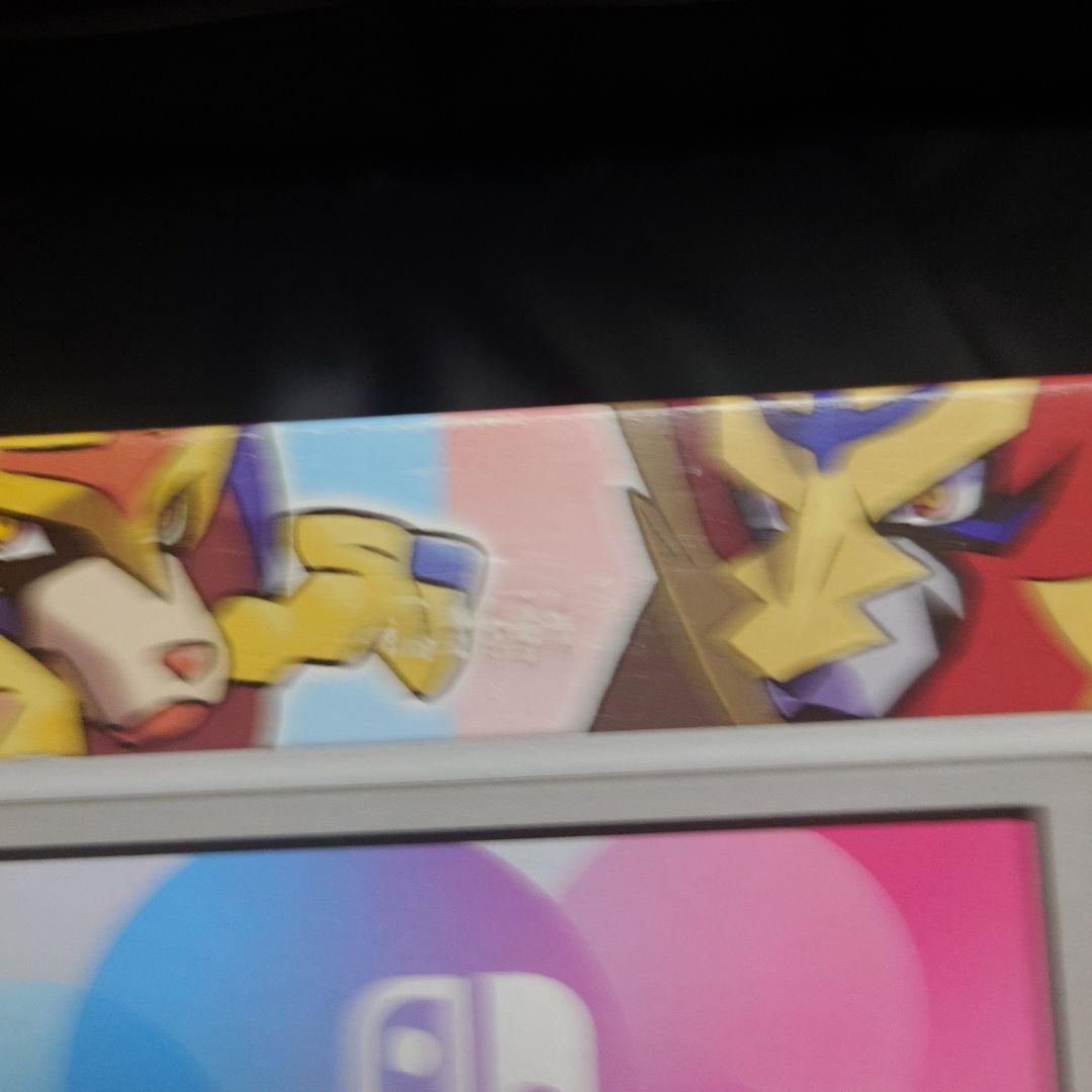 Nintendo Switch Lite ザシアン・ザマゼンタ　商品説明必読