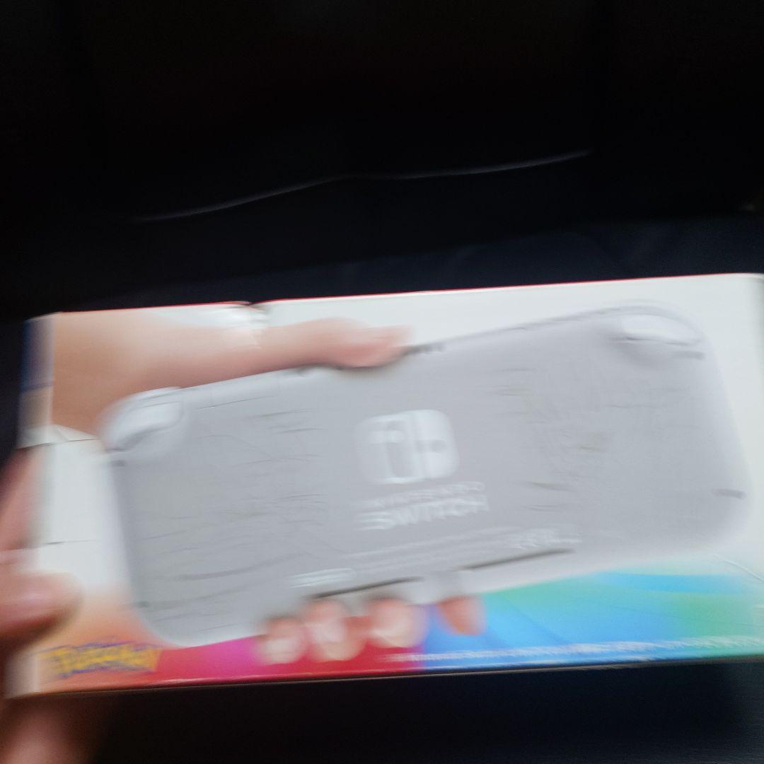 Nintendo Switch Lite ザシアン・ザマゼンタ　商品説明必読