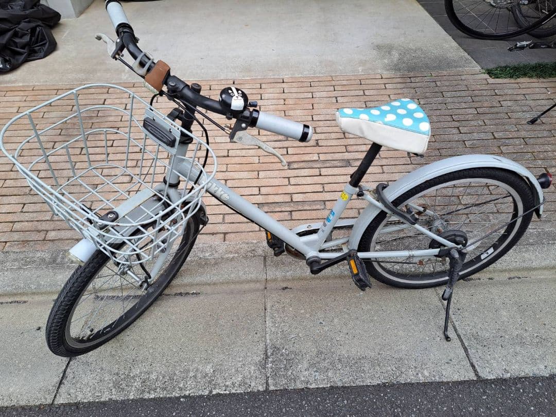 ブリジストン bike 22インチ　ビッケ　子供用自転車 グレー