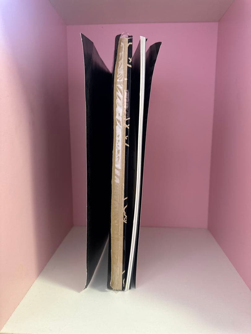 ヒステリックグラマー 25周年記念ブック　付録つき