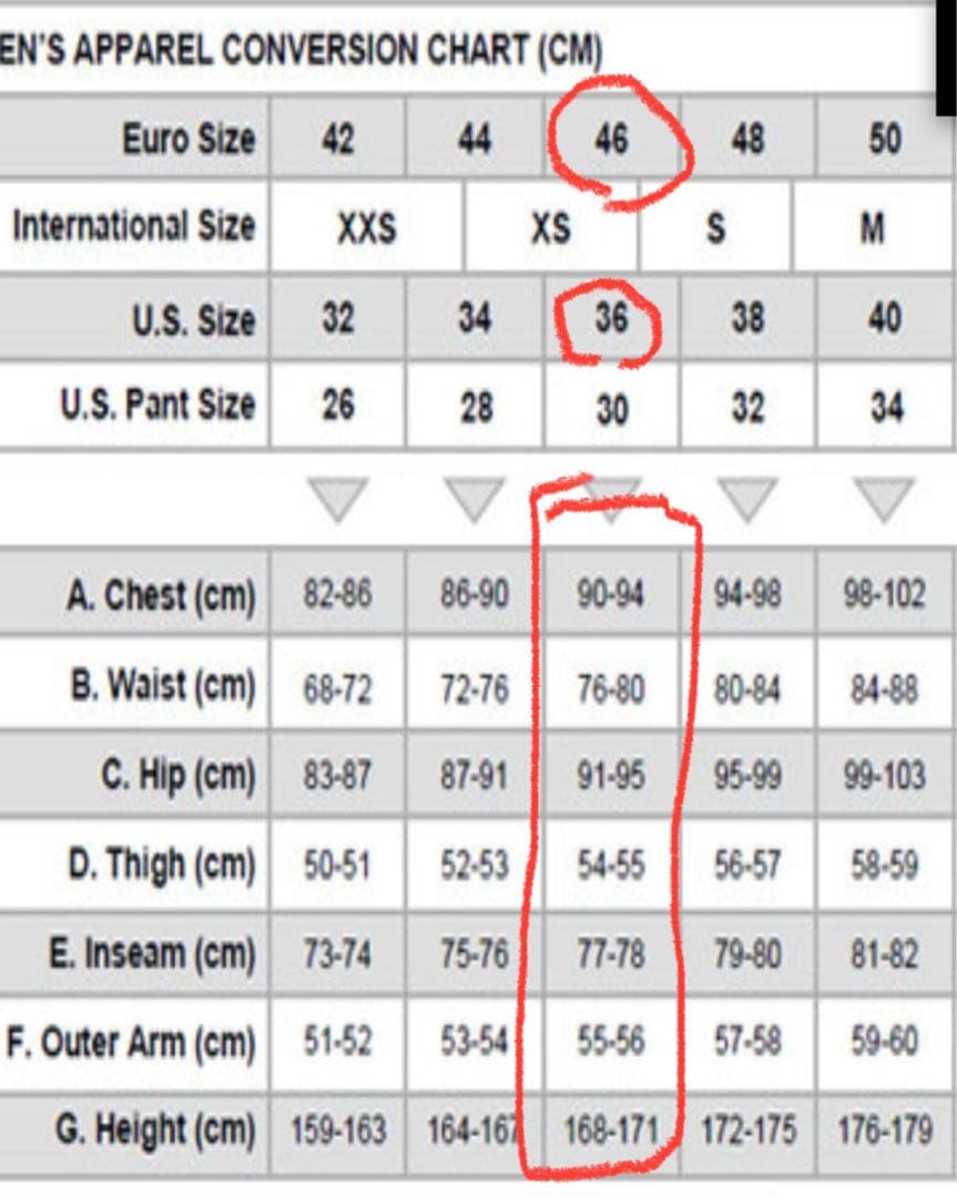 アルパインスターズ　alpinestars GP PRO レザー　ジャケット