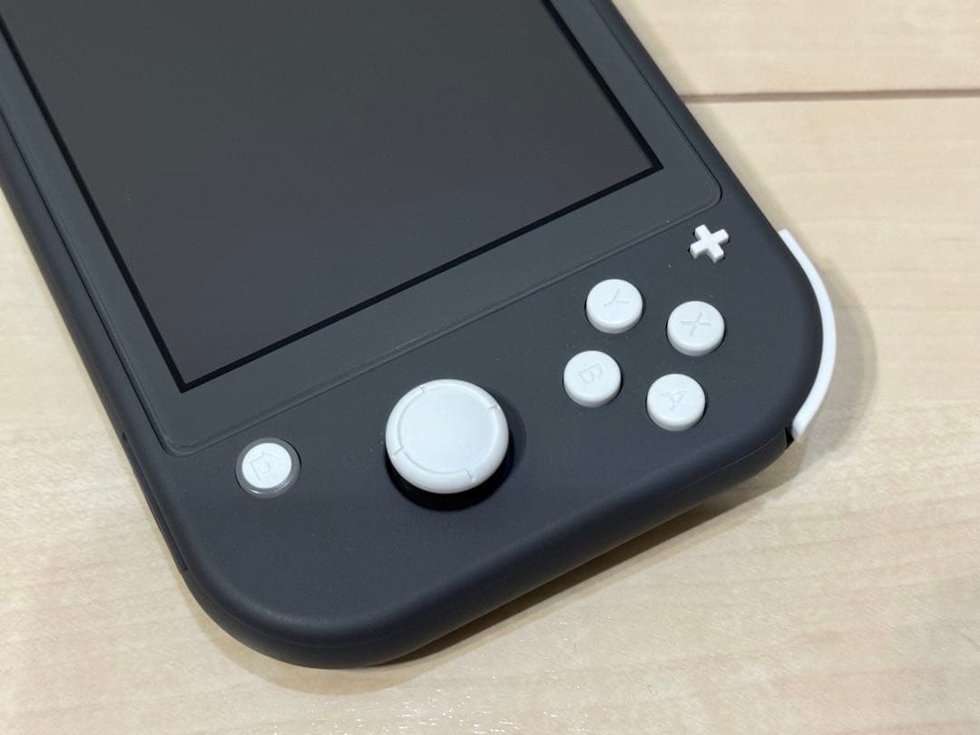 Nintendo Switch Lite グレー 収納ケース付き