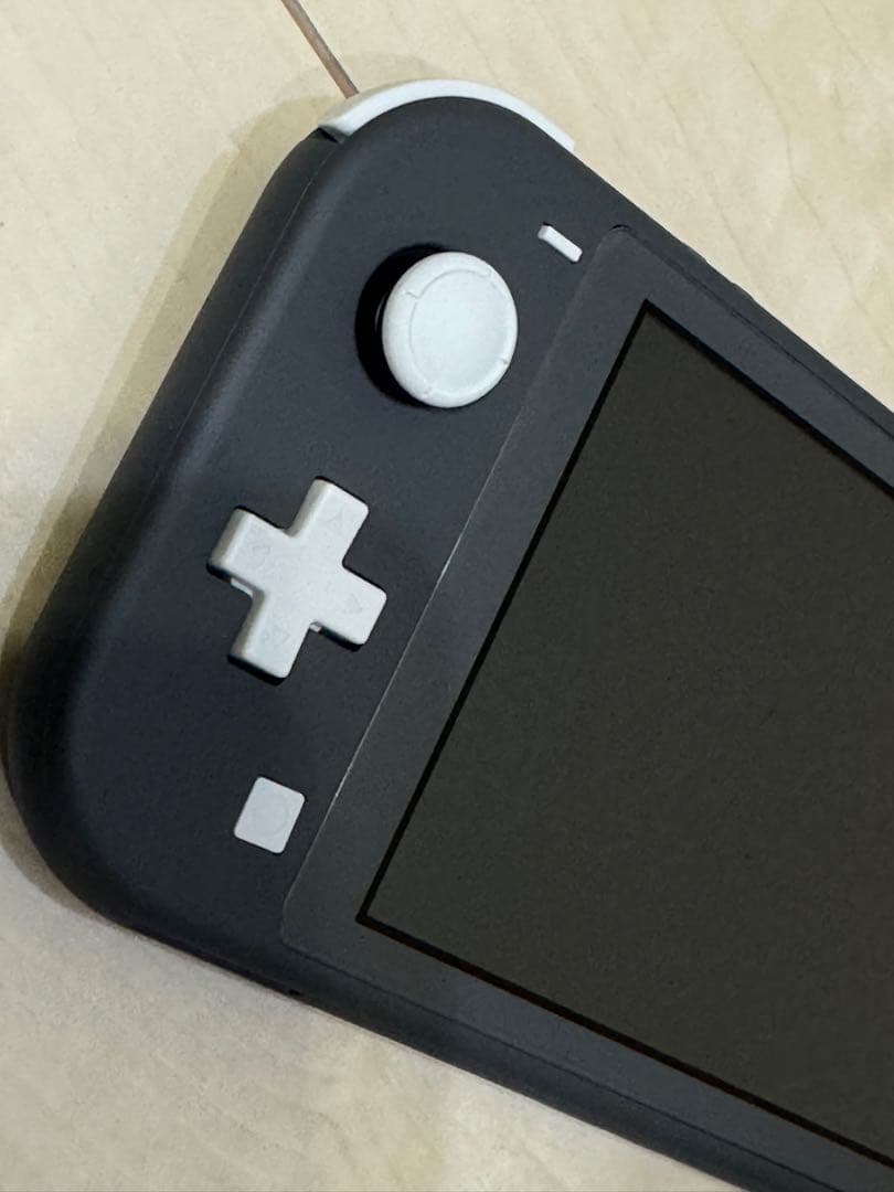 Nintendo Switch Lite グレー 収納ケース付き