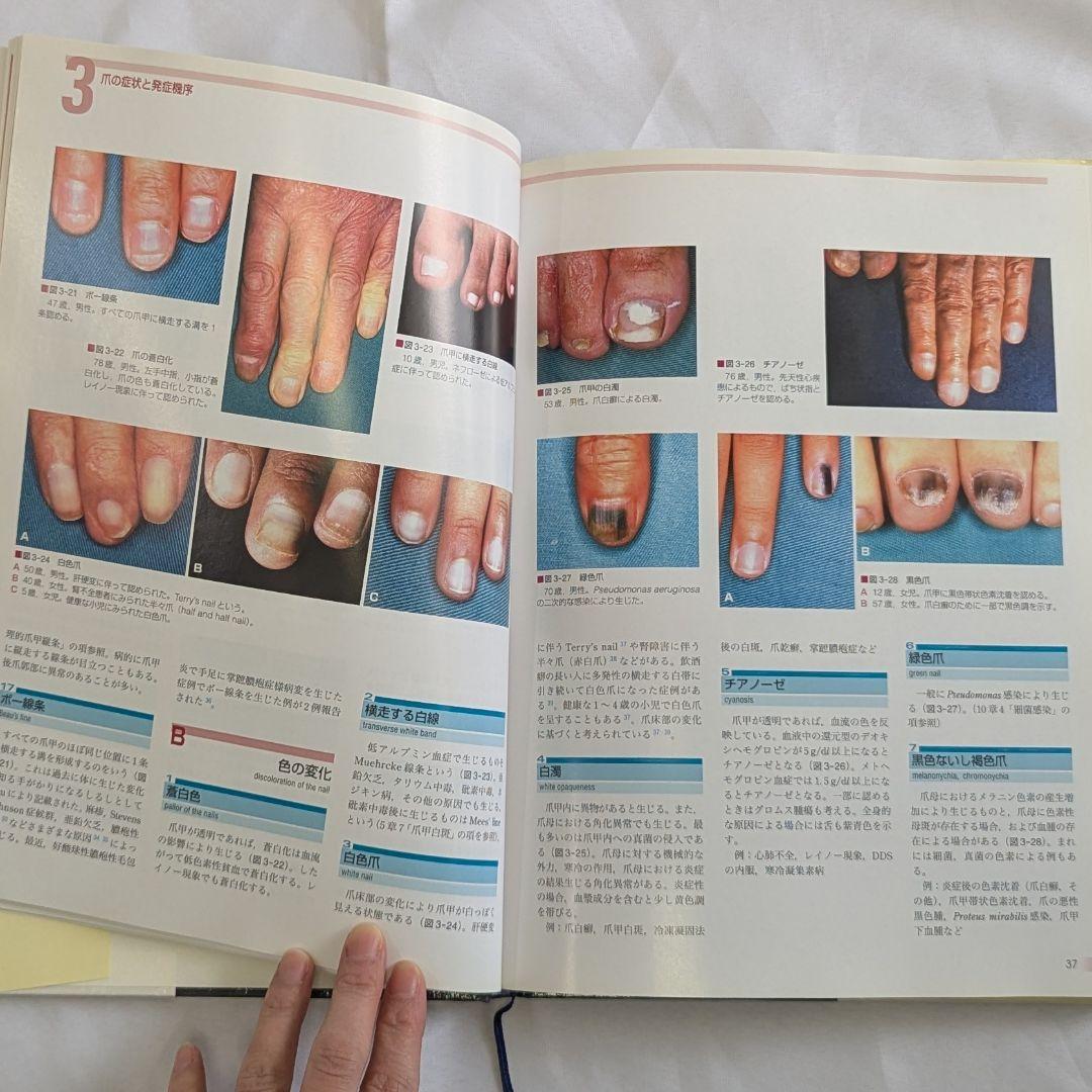 爪　基礎から臨床まで