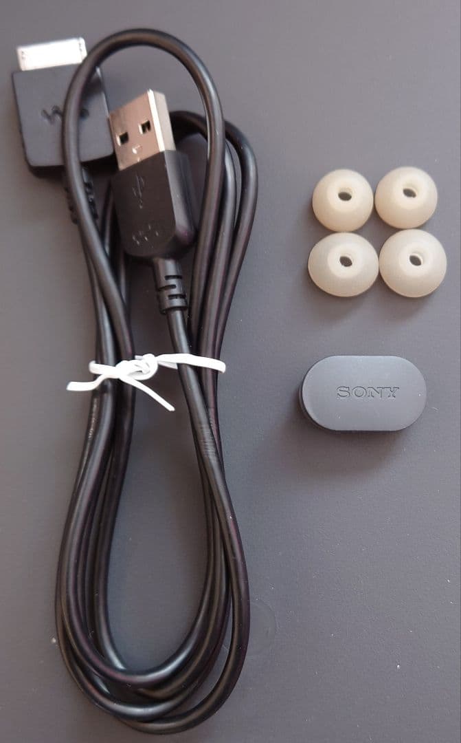 ウォークマン nw-a45hn ペールゴールド