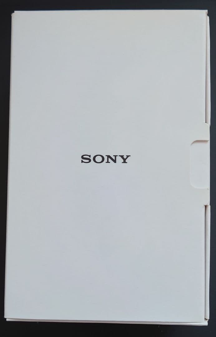 ウォークマン nw-a45hn ペールゴールド