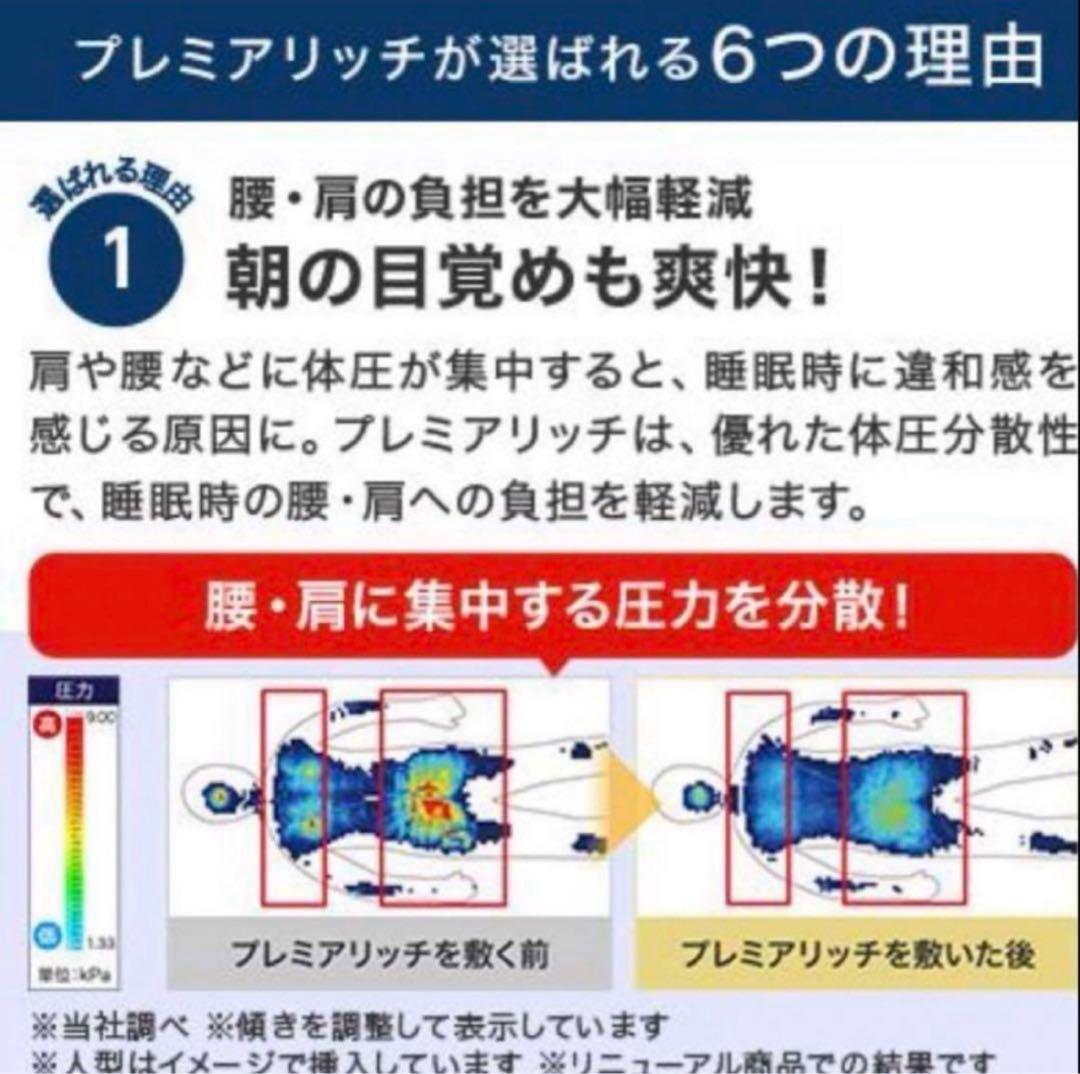 トゥルースリーパー プレミアムリッチ 洗える セミダブル