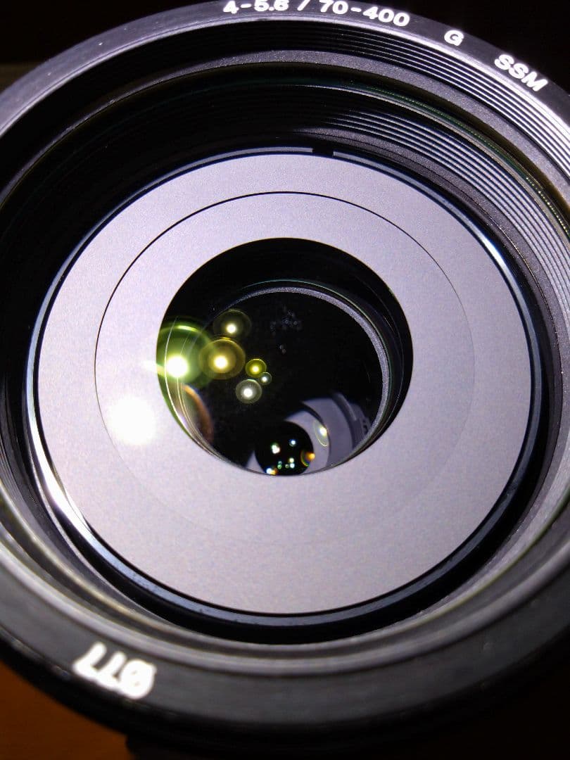 「歳末特価」【美品】SONY SAL70400g【HOYA製フィルター付】