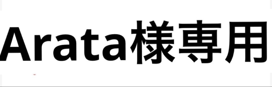 セキュリティ・セーフティ Arata
