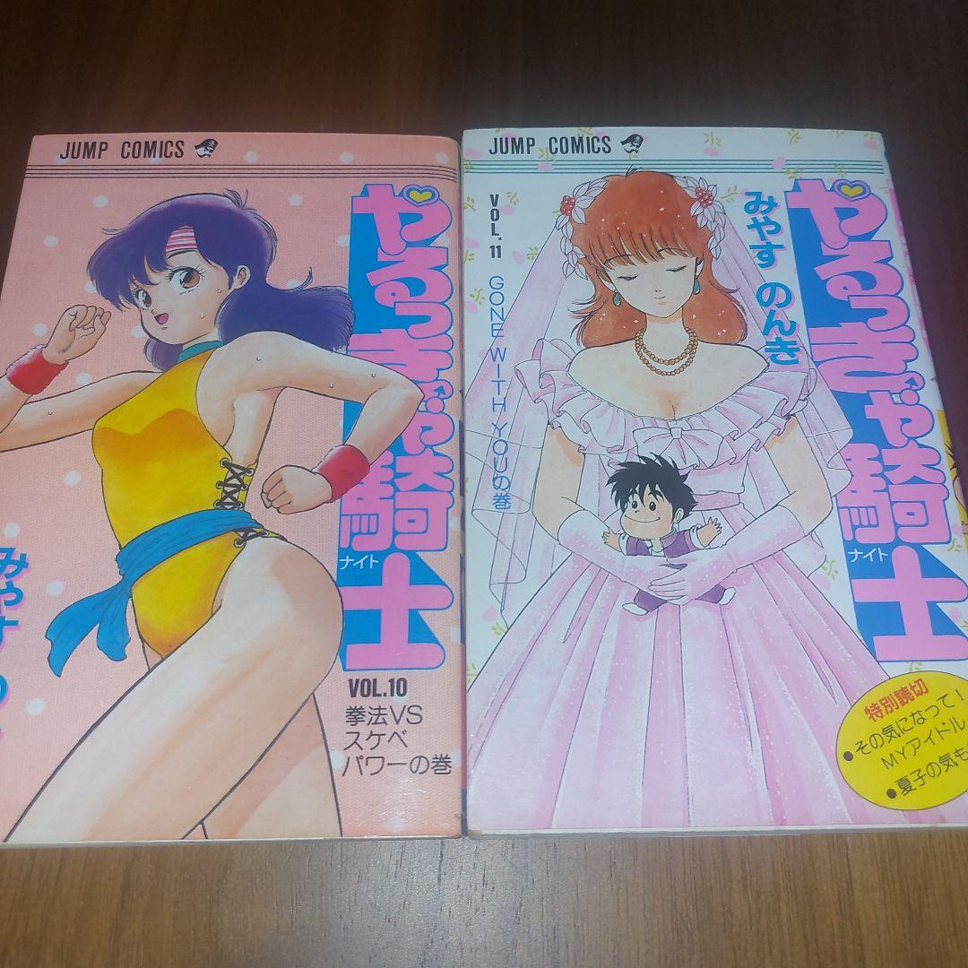 やるっきゃ騎士 全11巻セット