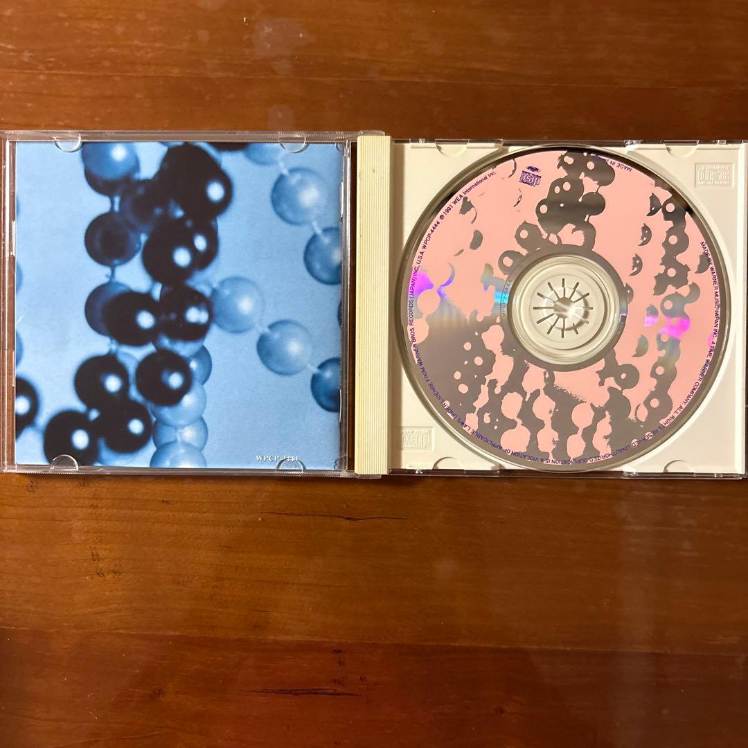 邦楽 Prince & The New Power Generation